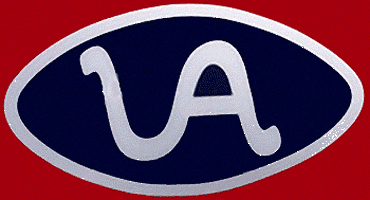Arizona Wildcats 1972-1976 Alternate Logo decal sticker